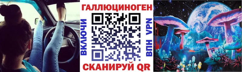Псилоцибиновые грибы Psilocybe  хочу   hydra маркетплейс  Торжок 