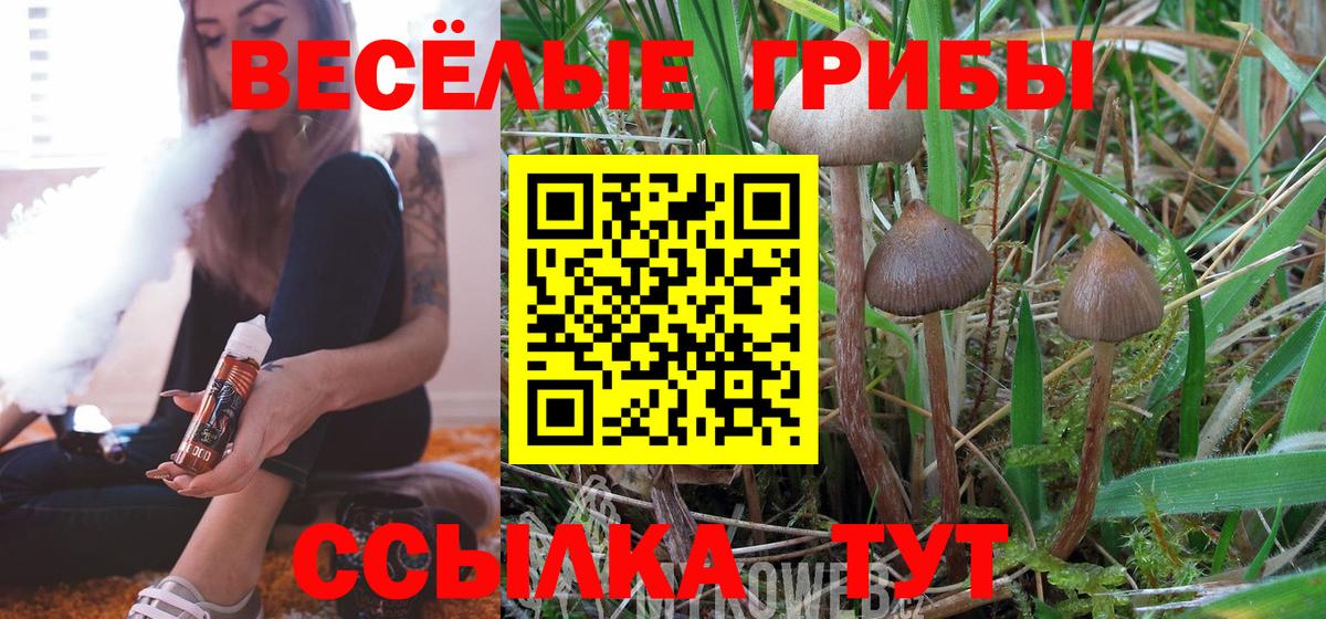 Торжок  Галлюциногенные грибы Cubensis  Вход с VPN  Псилоцибиновые грибы GOLDEN TEACHER 